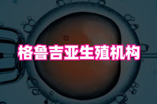 权威助孕网 1