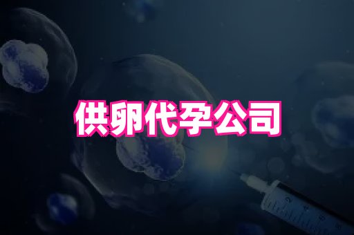 权威助孕网 2