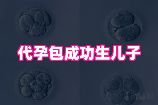权威助孕网 3